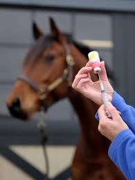 Steroid for horses